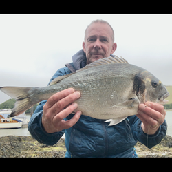 Rob Wheaton with a Bream, Gilthead of 4lb 9oz