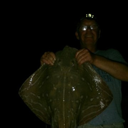 Jack Hillon with a shore caught Small Eyed Ray - 11lb 9oz (7th August 2014)