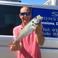 Steve Nicholson with a shore caught Scad - 1lb 4oz (30th August 2016)