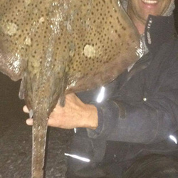 Steve Nicholson with a Ray, Spotted of 6lb 9oz 8dr